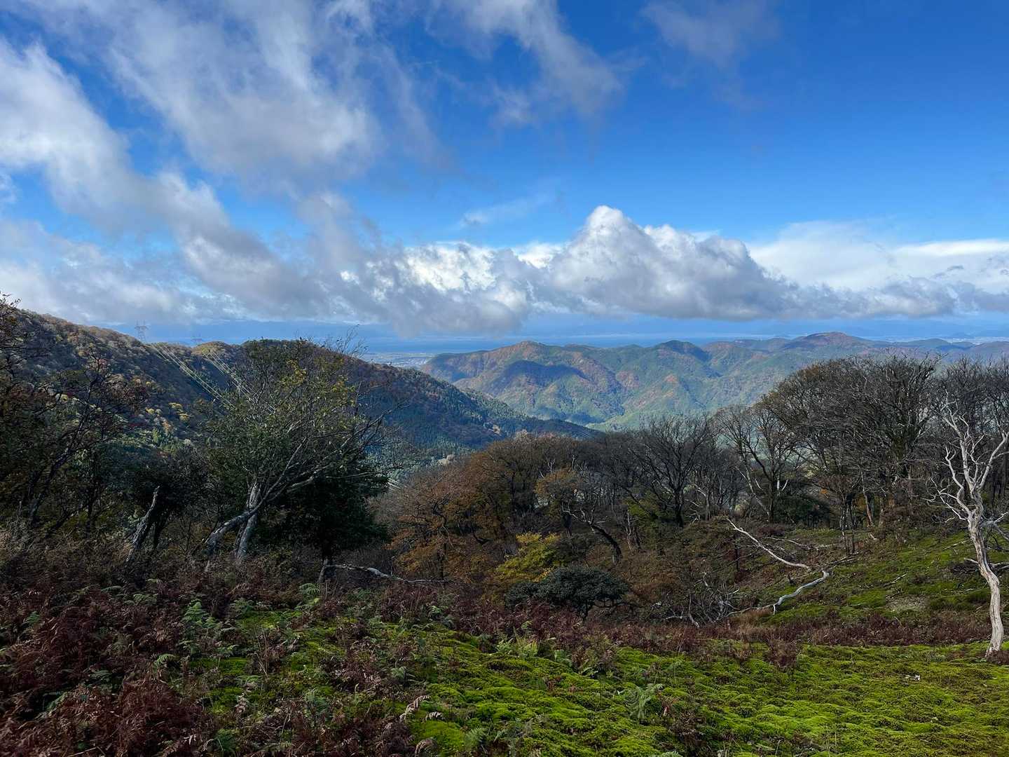 御池岳・鈴北岳周回 | シマリスに出会える鈴鹿最高峰のカルスト台地の写真