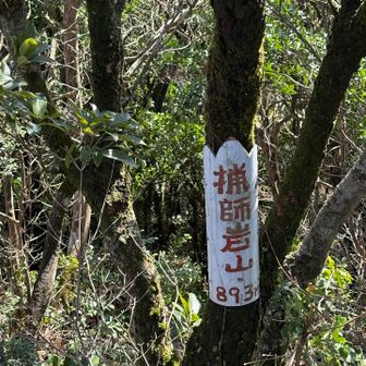 小爪峠から見る猟師岩山は立派な尖った山⛰️でした♪(๑ᴖ◡ᴖ๑)♪。