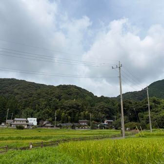 ありがとう…😌♡
小町山…🫶

お邪魔しました…😌♡
茨城県…🫶