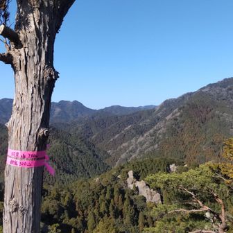 羽黒山。山名の標識なくテープのみ。ここが一番眺めがよかった！