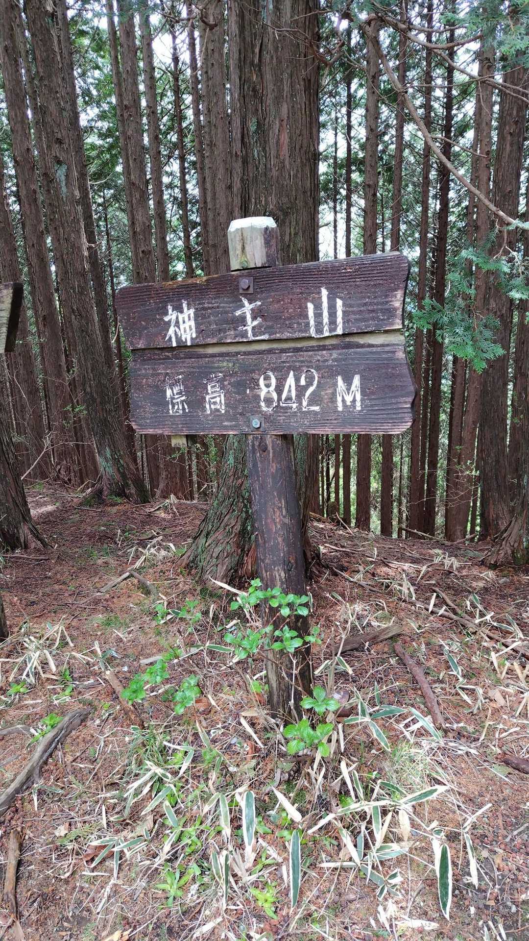 鳴虫山登山口-神ノ主山-鳴虫山-合峰-独標 縦走コースの写真