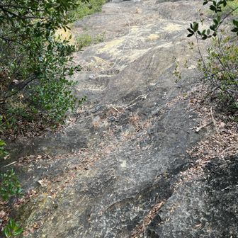 まさに黒い岩の山
ロープもある