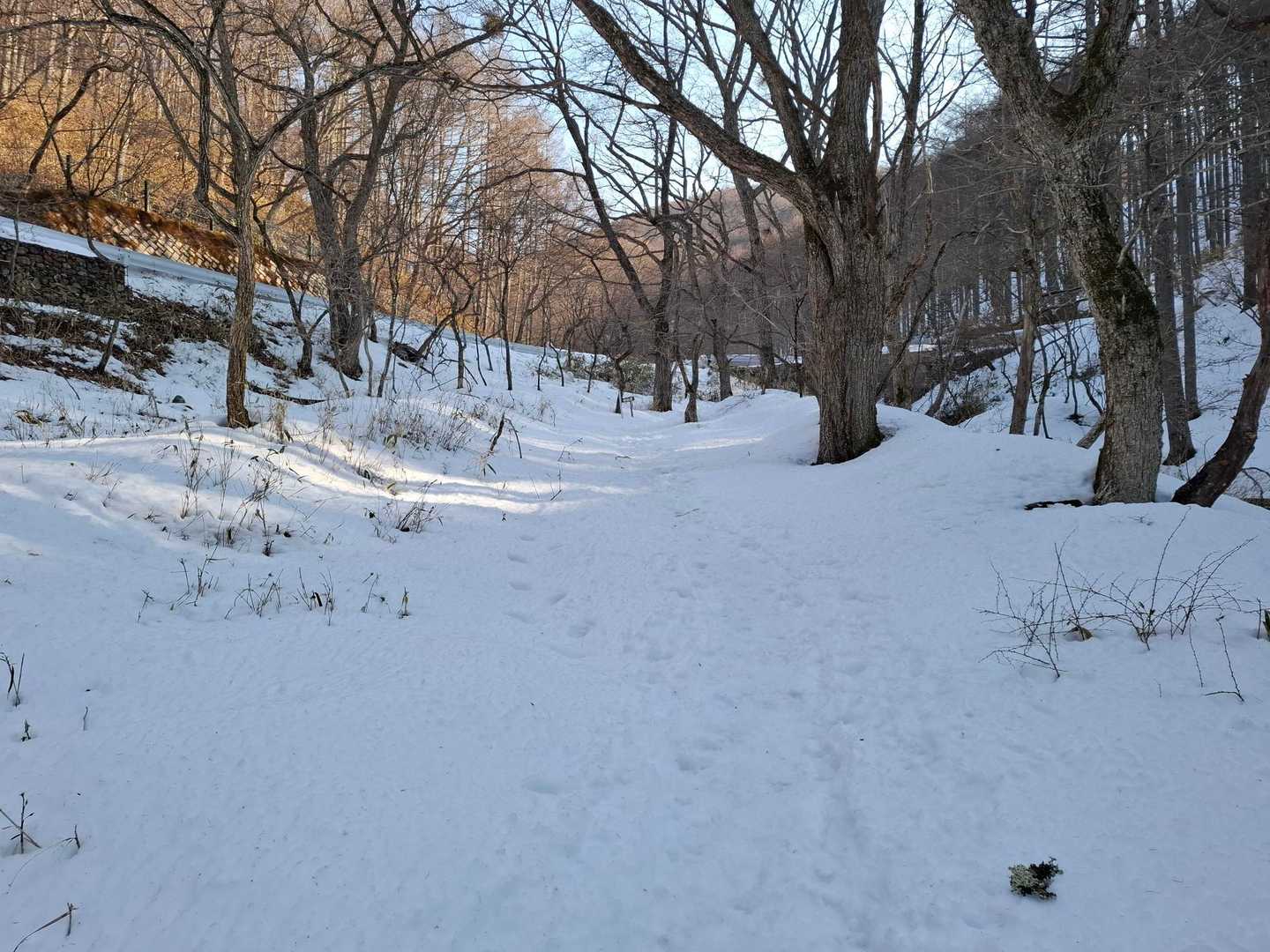 少し歩くと、だんだん白くなって…
6本爪を装着
