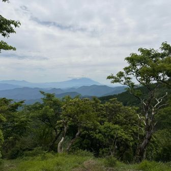 富士山は頂上は雲に覆われていますが、結構見えました。
