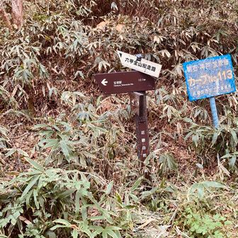 宝塚へ下山する下山口、ここから12.1km、心が折れそうになる、そしてこの標識を最後に距離表示もなくなり、ただただがむしゃらに下るのみ