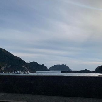 中木
ここはダイドーとコカコーラの自販機あり