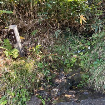 水場あり