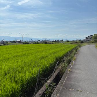 振り返ると、向こうにふるさと公園道の駅当麻が見えます^ ^
飛塚（とびつか）は、駐車場🅿️から出る時には二上山に向かって右手に出ていきます(o^^o)