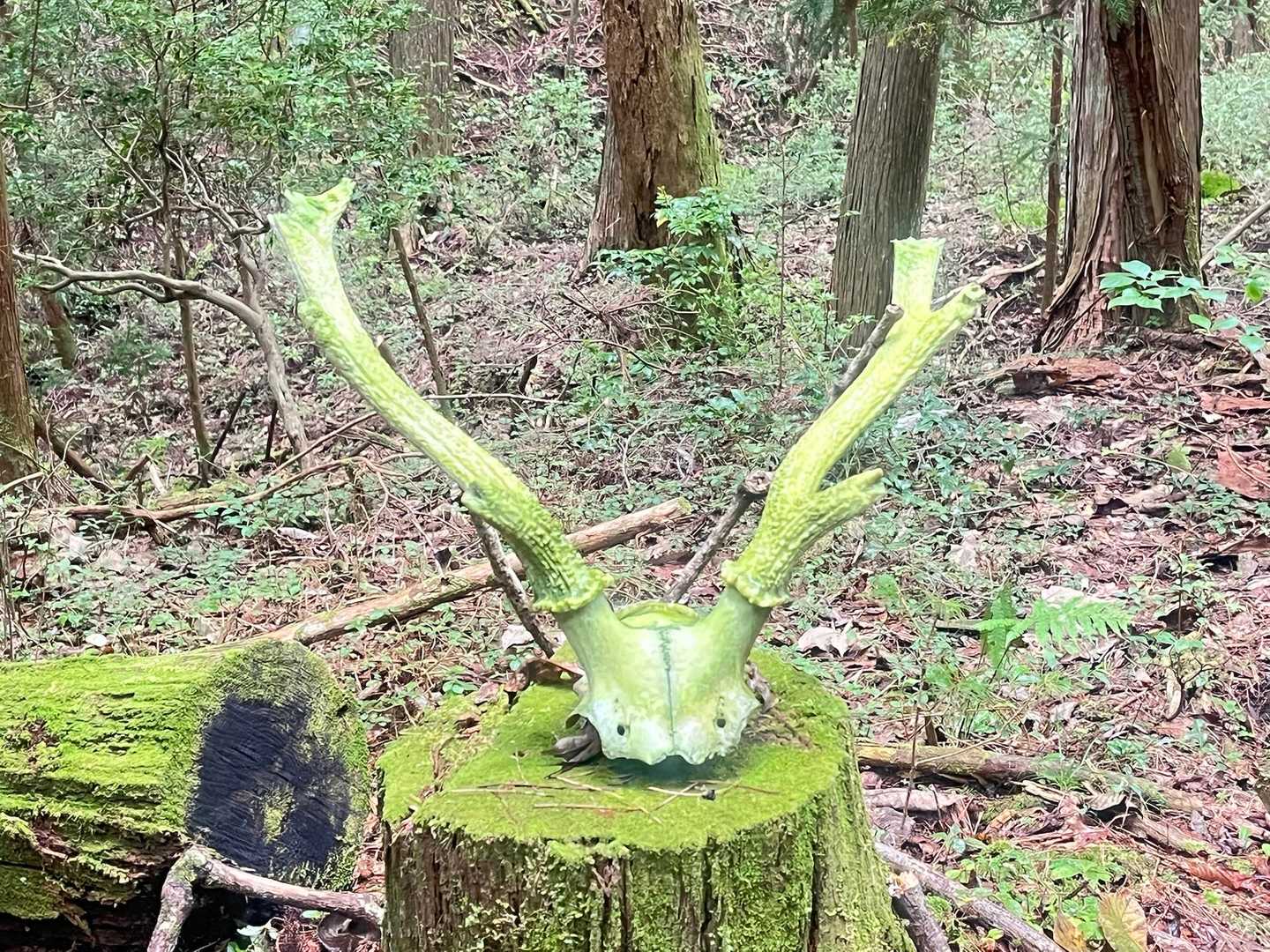 🦌☠️