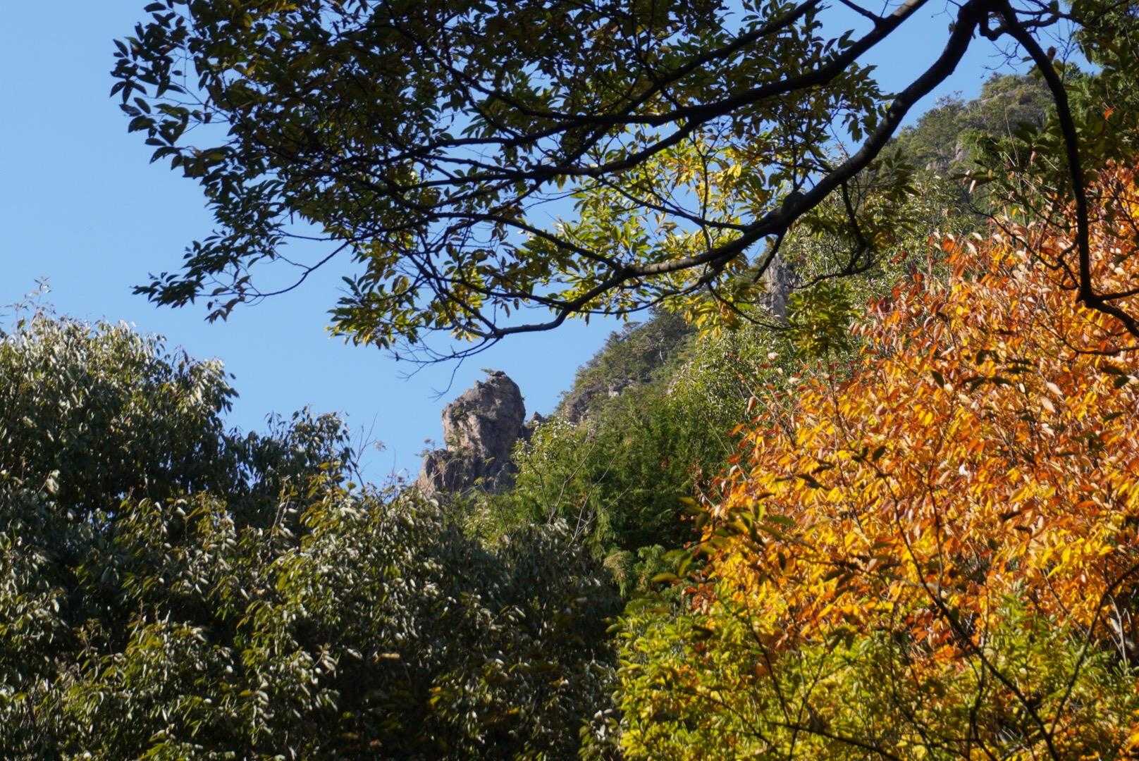あの岩、奇岩かなー
珍しい✨