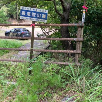 登山道のように書いてあるけど降りたら行き止まりというとんでもないトラップでした😭YAMAPの道通り行きましょう。