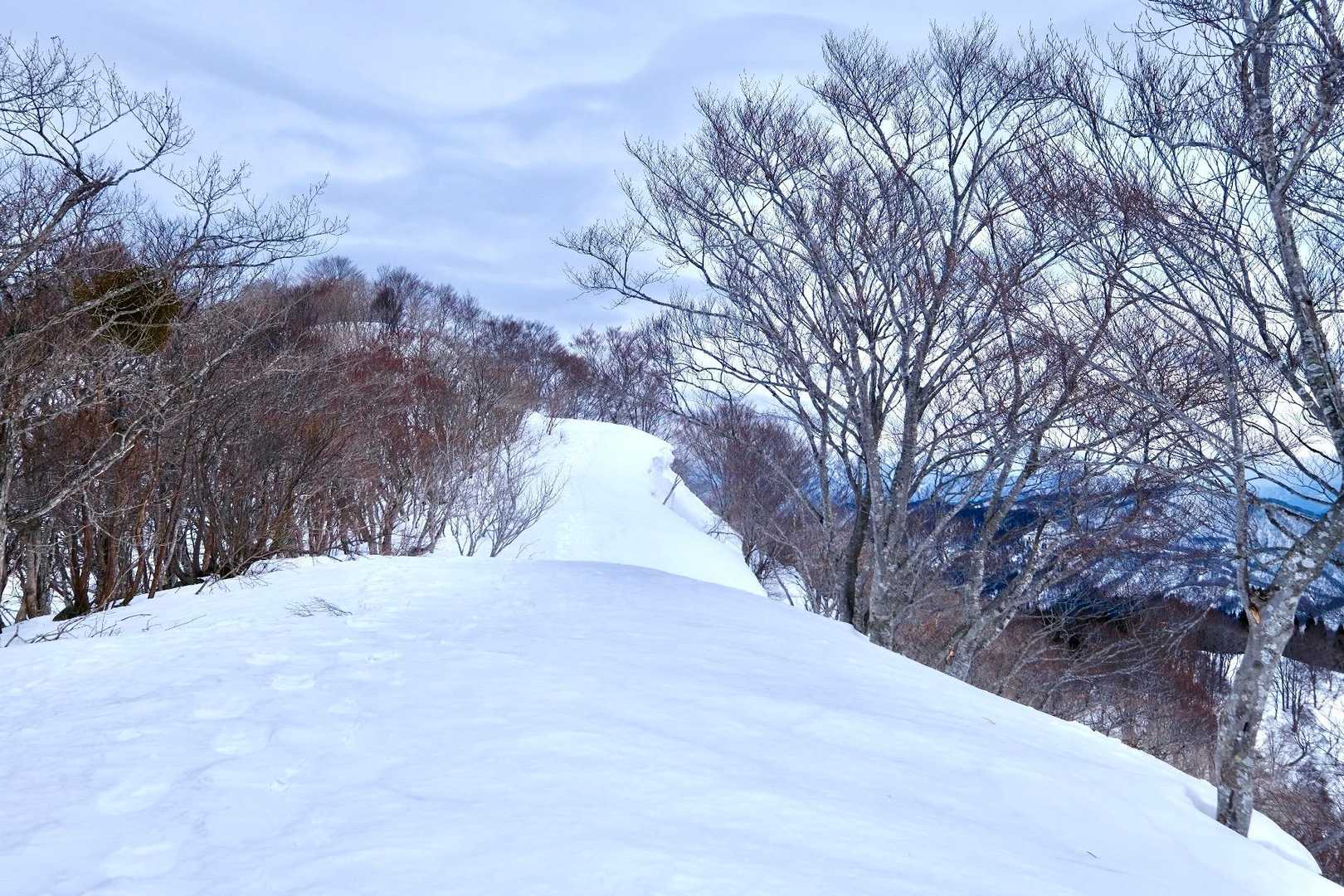 奥に雪庇が見えますね。
