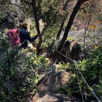 山城山からの下山コースは結構な急坂だった💦