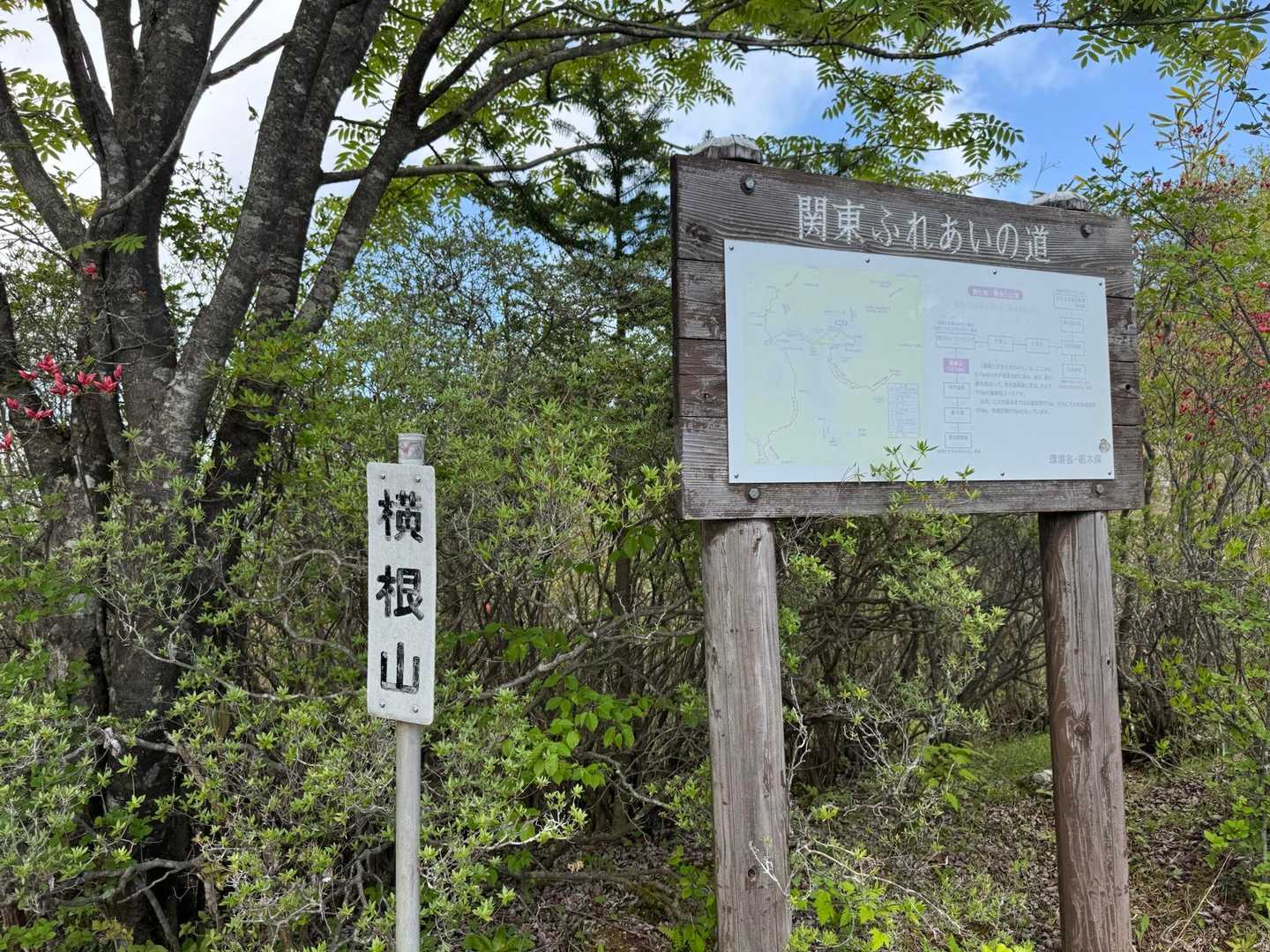 三座目　横根山♪

この辺はヤマツツジの蕾が多かった❤️