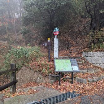 舗装路から登山道に入ります