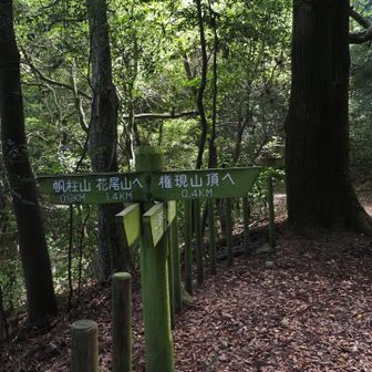 権現山へ⛰️