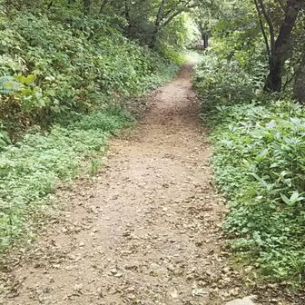 入れた黒土？が少しの☔でドロドロ状態になってましたが土を入れ替えたようです😉　
今度は水はけも良さそうなので多少の雨でも大丈夫だと思います♪すっかり快適になりました🙏