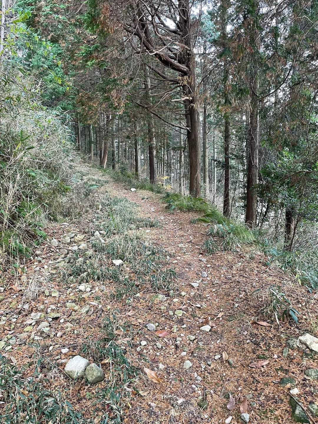 ここから登山開始
