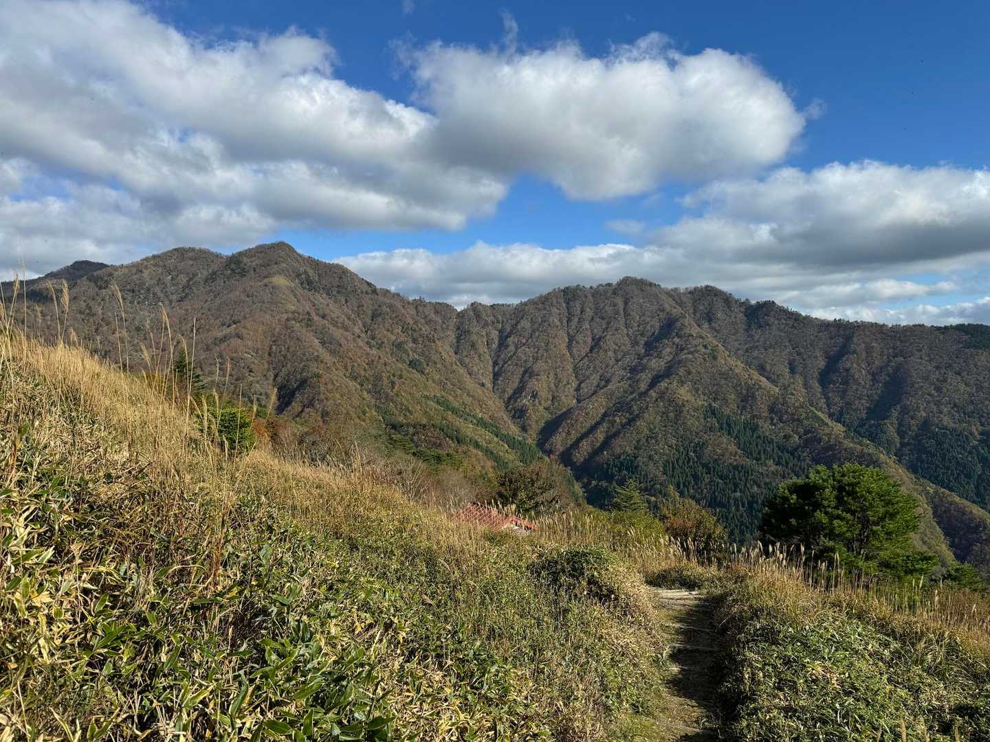 落合峠-矢筈山-黒笠山 往復コースの写真