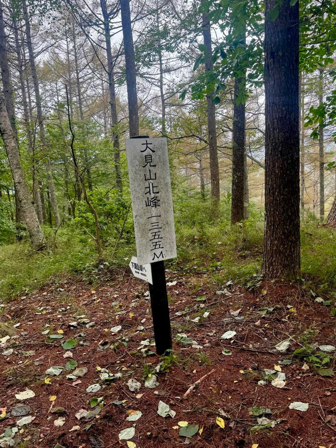 大見山北峰
