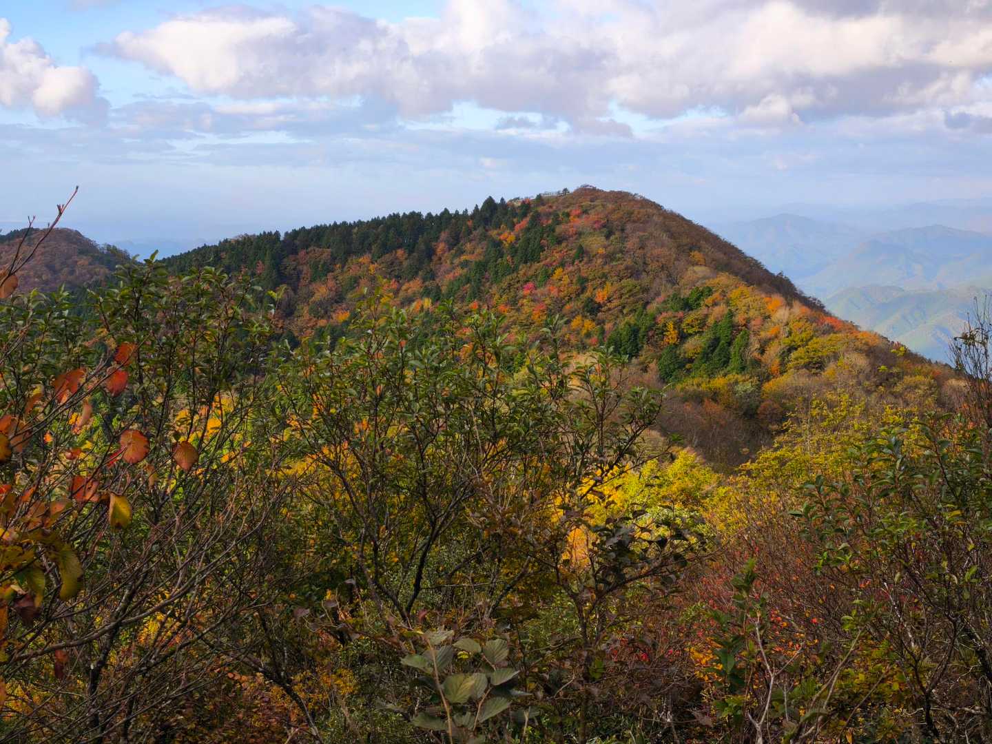 紅葉も見れました🍁