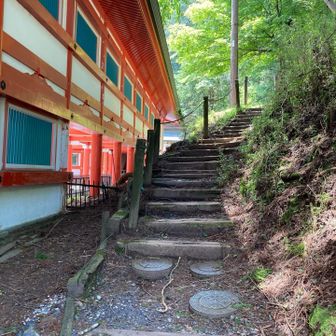「登山者は必ず声をかけてください」と表示されていて、「登山で大比叡に行きたい」というと拝観料は払わなくてもOK
寺院に入り込まないように道も指示される

朱塗りの大きな施設の横を登っていく