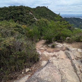 今日の最高峰、高御位山⛰️がやっと近づいてきたみたい✌
暑さもあって🥵息切れしてヘトヘト😂
体力不足が否めない💦