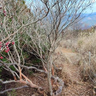 所小野山⛰️に向かいます。