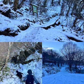 雪はこんな感じです。上⇨自然研究路。
右下⇨キャンプ場〔工事中〕
左下⇨女体山直下の白雲橋岩場、ツルツルです。
