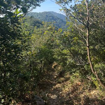 山頂で少し休憩後、次の西方が岳へ向かう