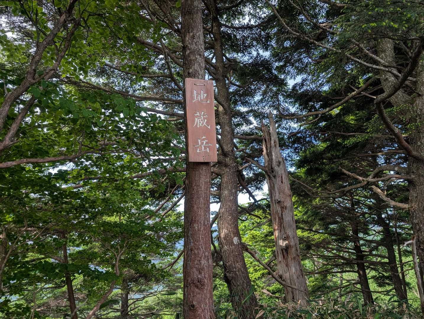 地蔵岳！