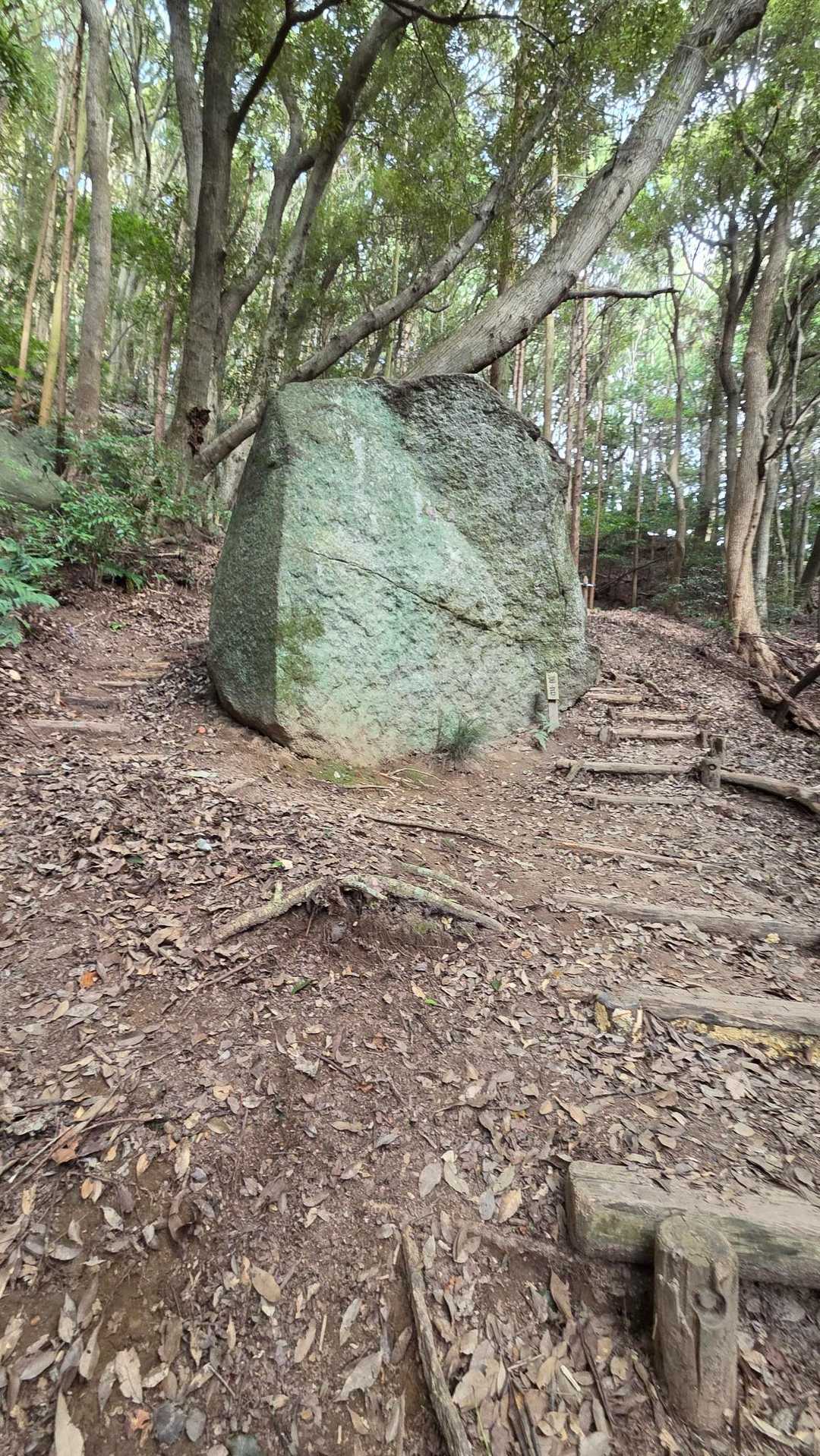 飯盛山-日向山-高地山 往復コースの写真