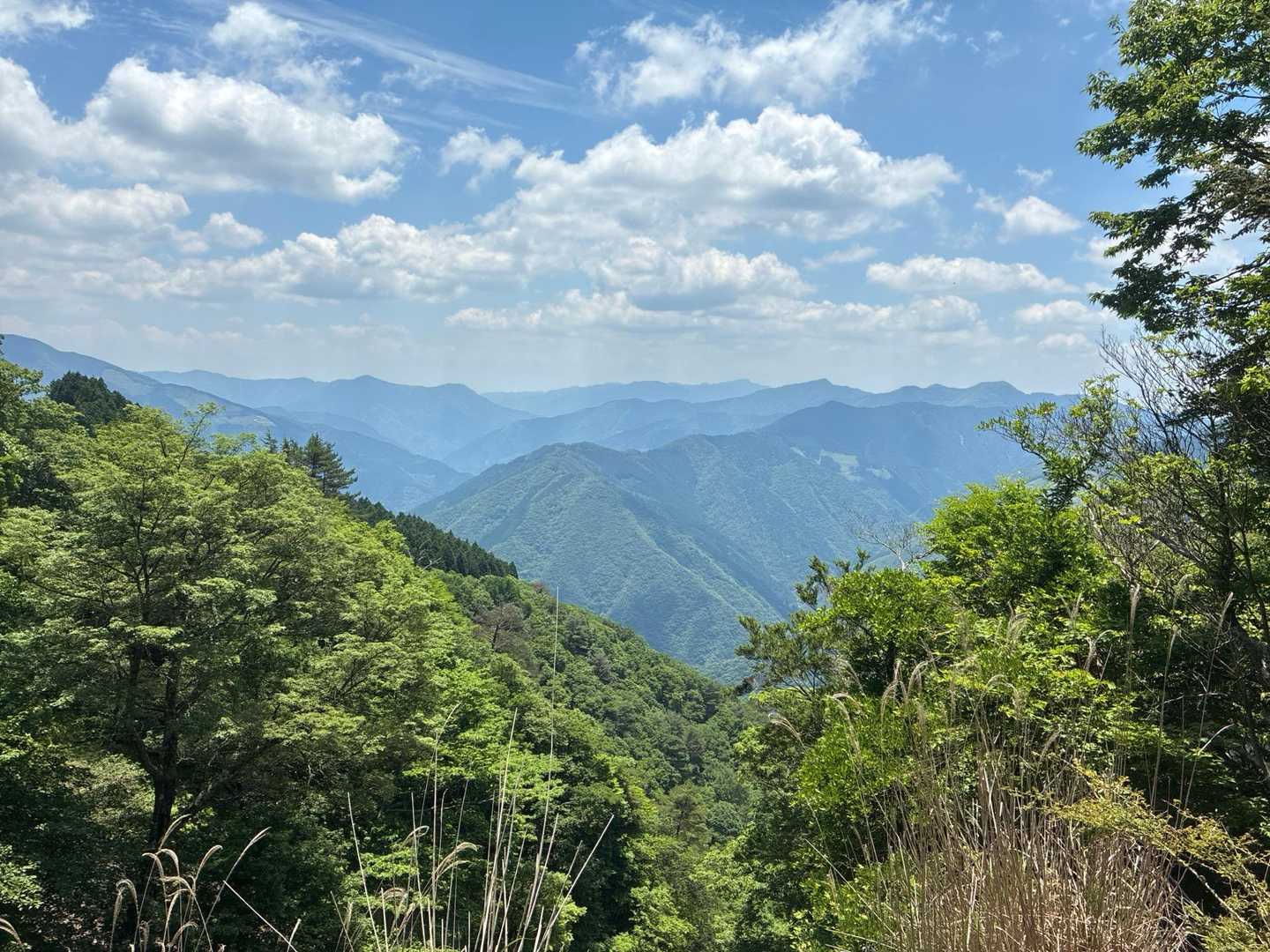 保口岳 往復コースの写真