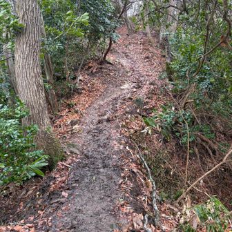 むかるみがすごい