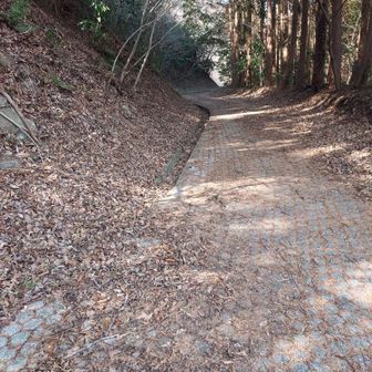 お疲れ👋😃💦さまでした