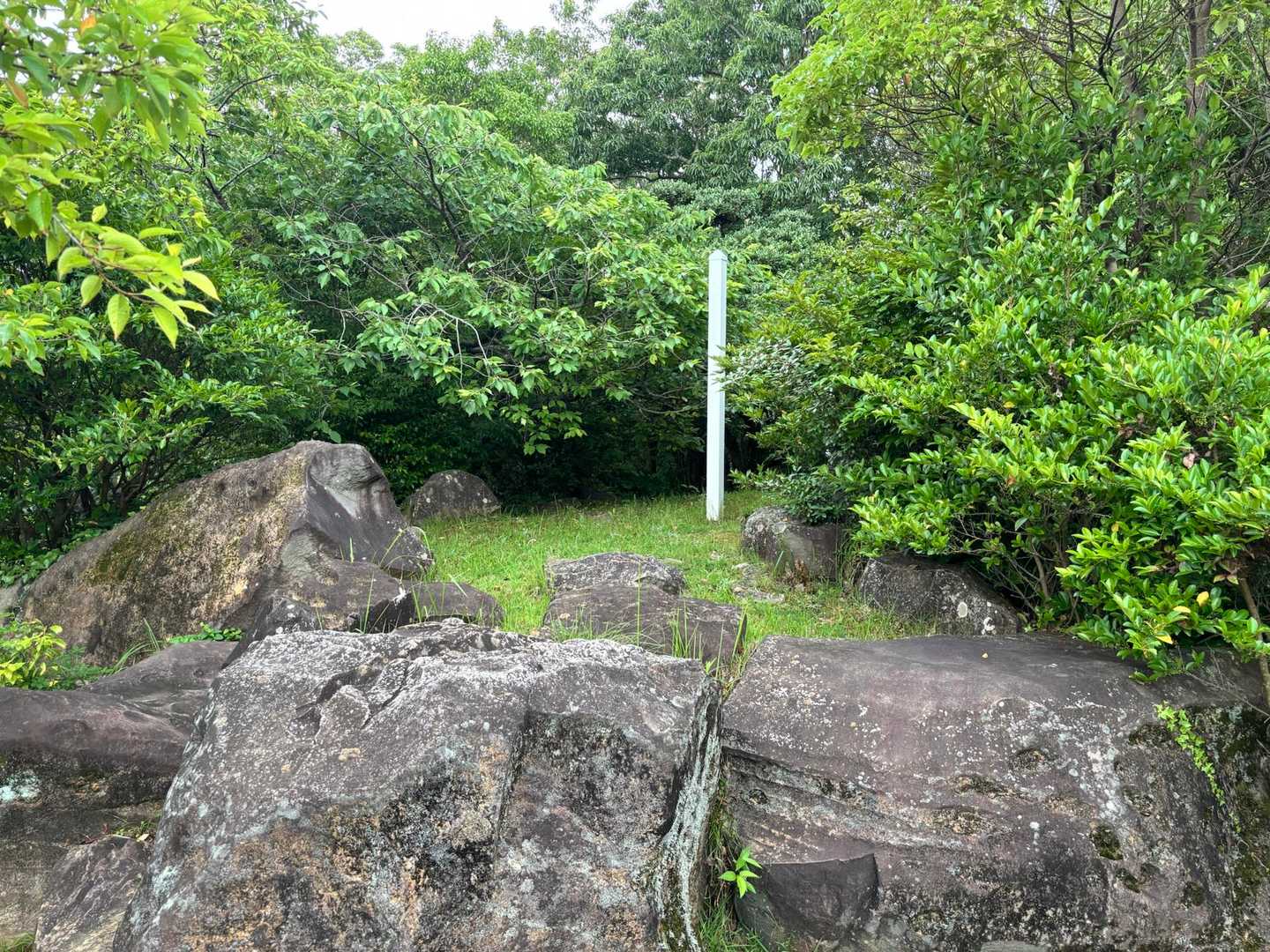 弓張岳ピーク