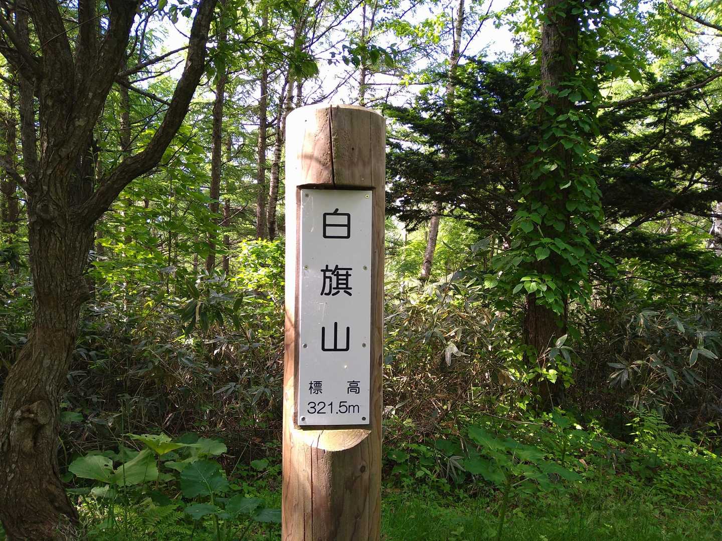 1つ目のﾋﾟｰｸ
白旗山に到着