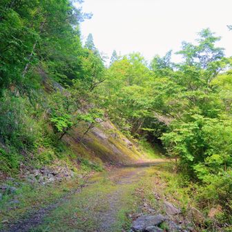 ひたすら林道歩き