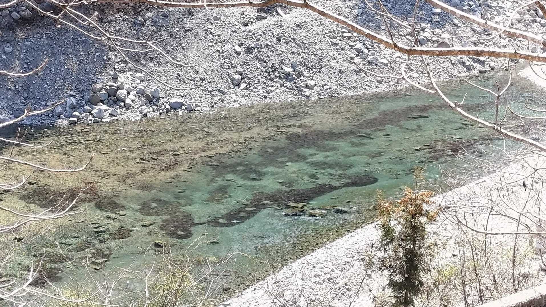 松茸山 周回コースの写真