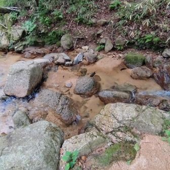 高雄山へ行こうと渡渉で、足の置き場が悪つるん。ドボン。携帯電話もポケットから落ちてドボン。トホホ・・。
