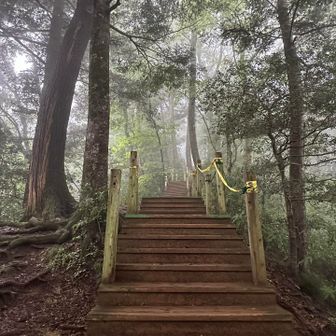 これを上がって頂上🏔️