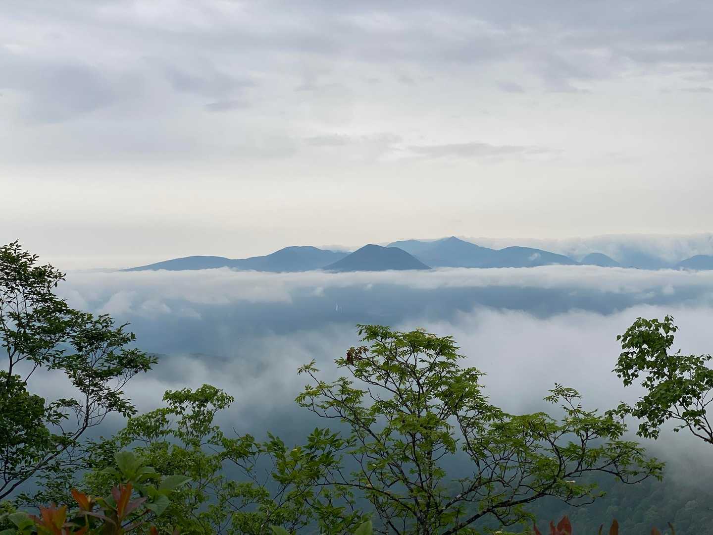 闇川登山口-大戸岳 往復コースの写真