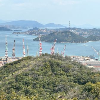 キリン🦒さんモドキ🏗️いっぱい〜