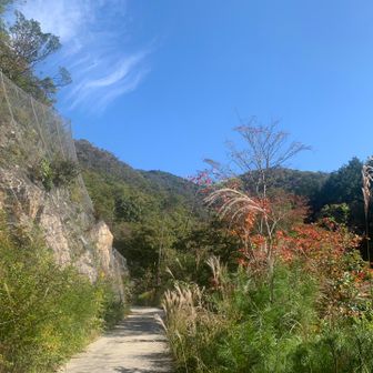 秋ですねぇ〜🍂
素敵な景色です！🎑