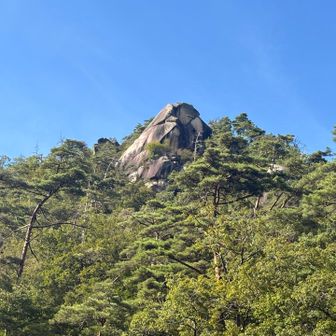 富士岩