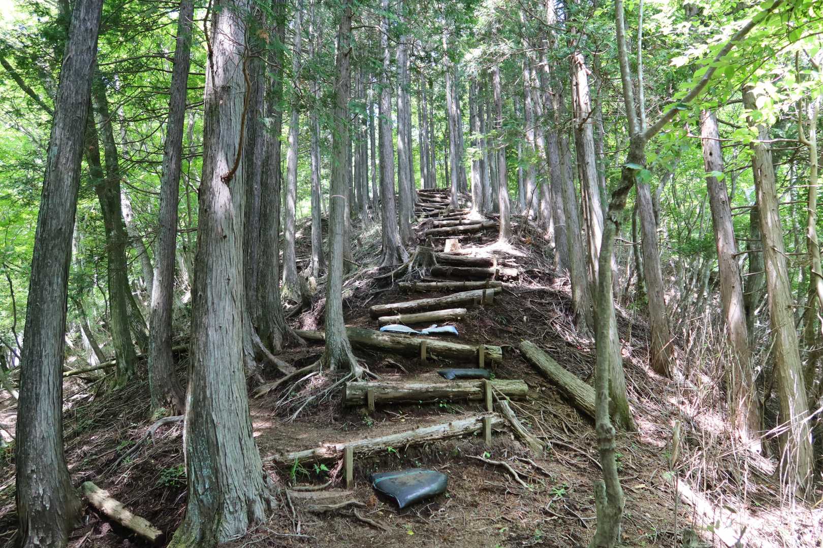 振り返ってパシャリ
ガンガン下ります