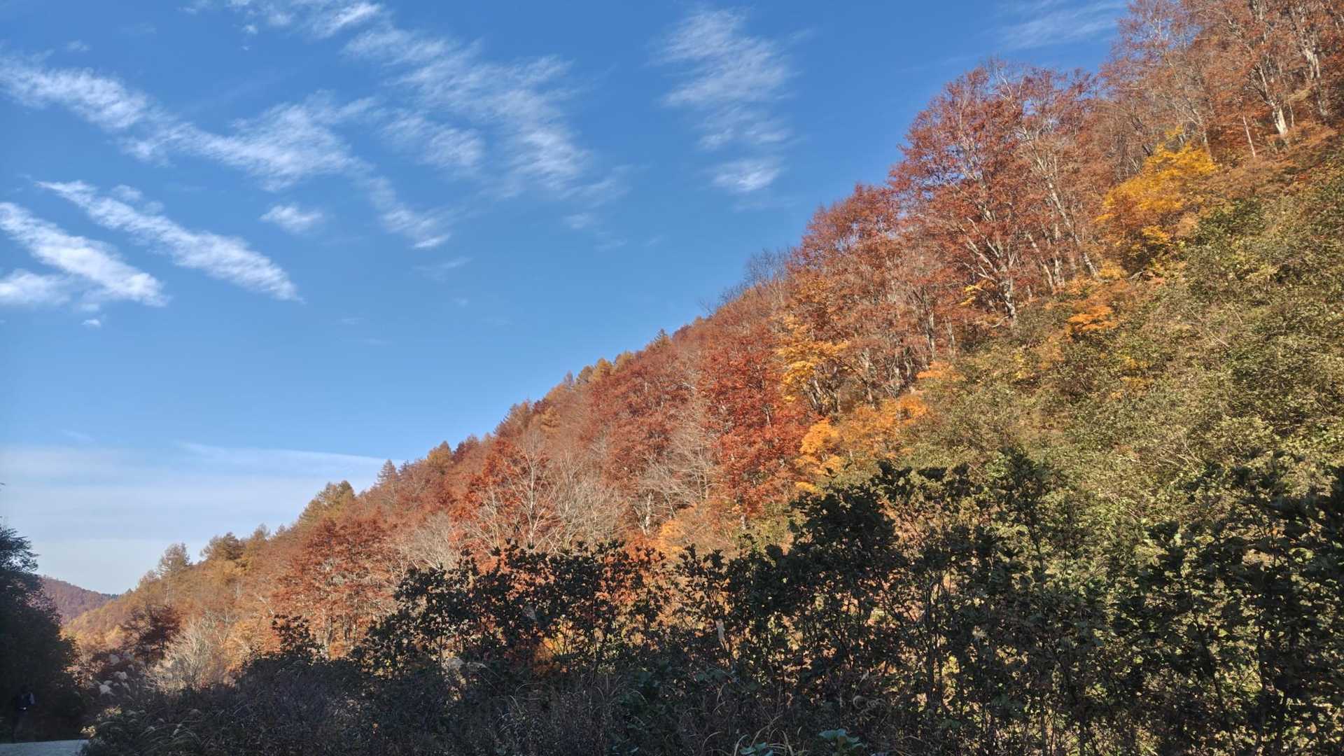 見飽きた