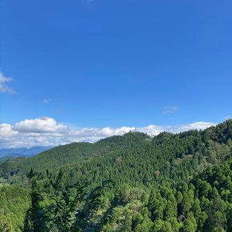 さっき登った桝形山が見える👀