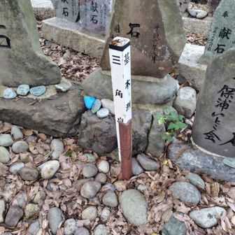 目立たない三角点