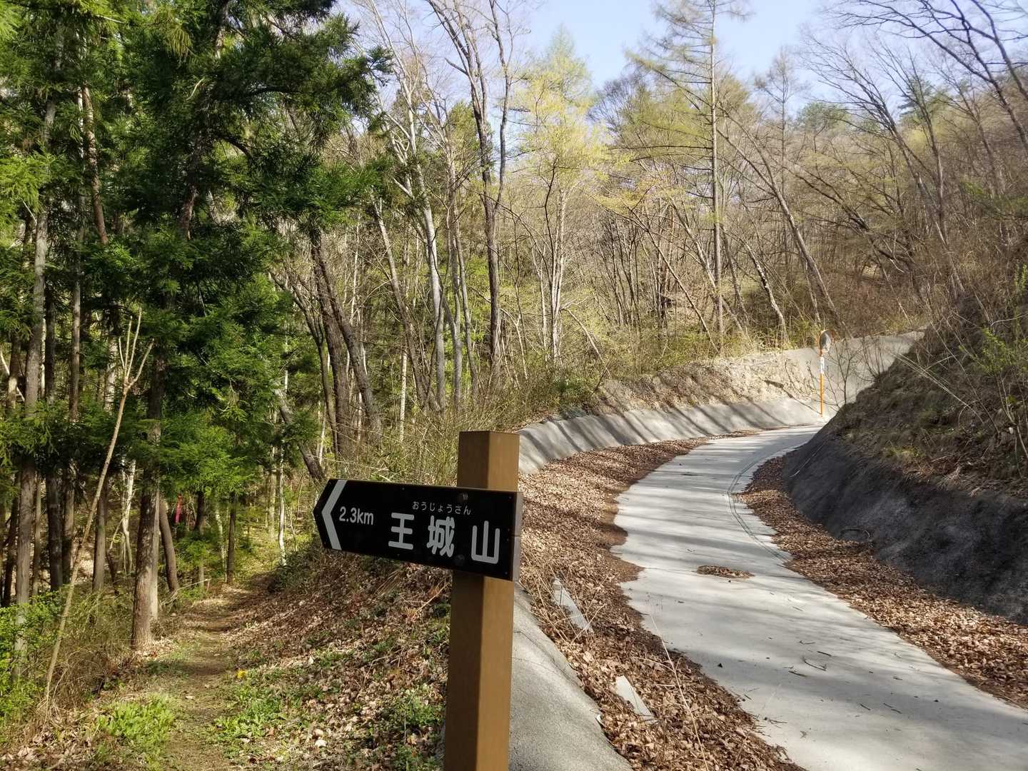 再び登山道へ。